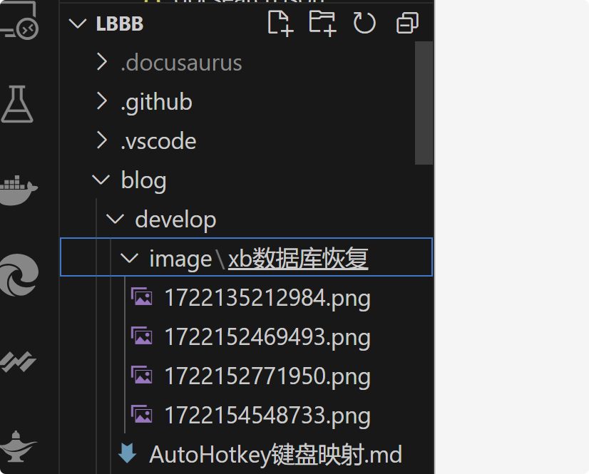 自动保存至 image 文件夹